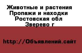 Животные и растения Пропажи и находки. Ростовская обл.,Зверево г.